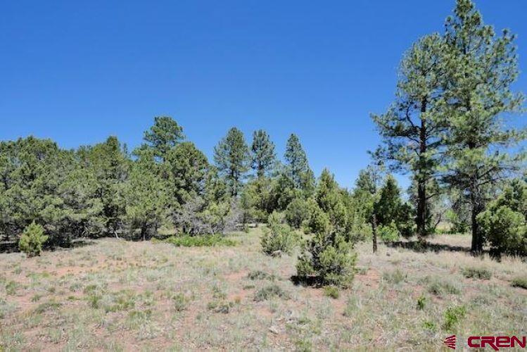 1640 Marmot Dr Property Photo 30