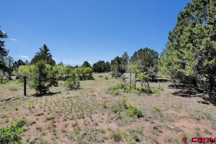 1640 Marmot Dr Property Photo 31
