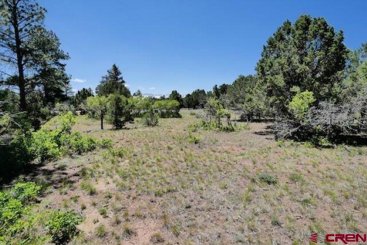 1640 Marmot Dr Property Photo 32