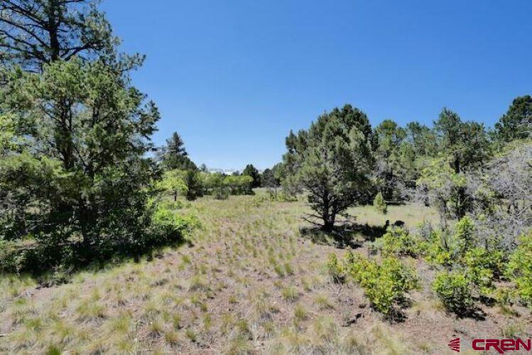1640 Marmot Dr Property Photo 38