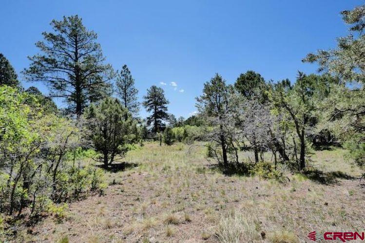 1640 Marmot Dr Property Photo 39