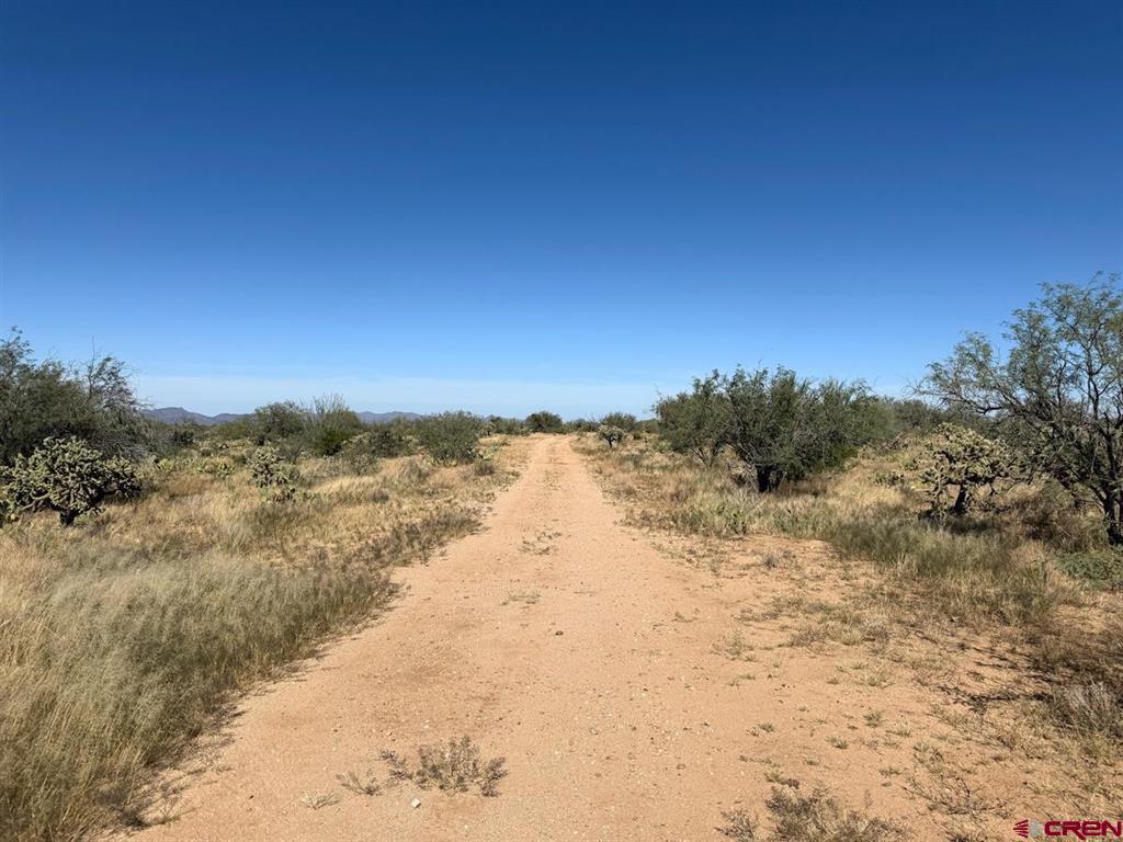 15749 Highway 285 Property Photo 3