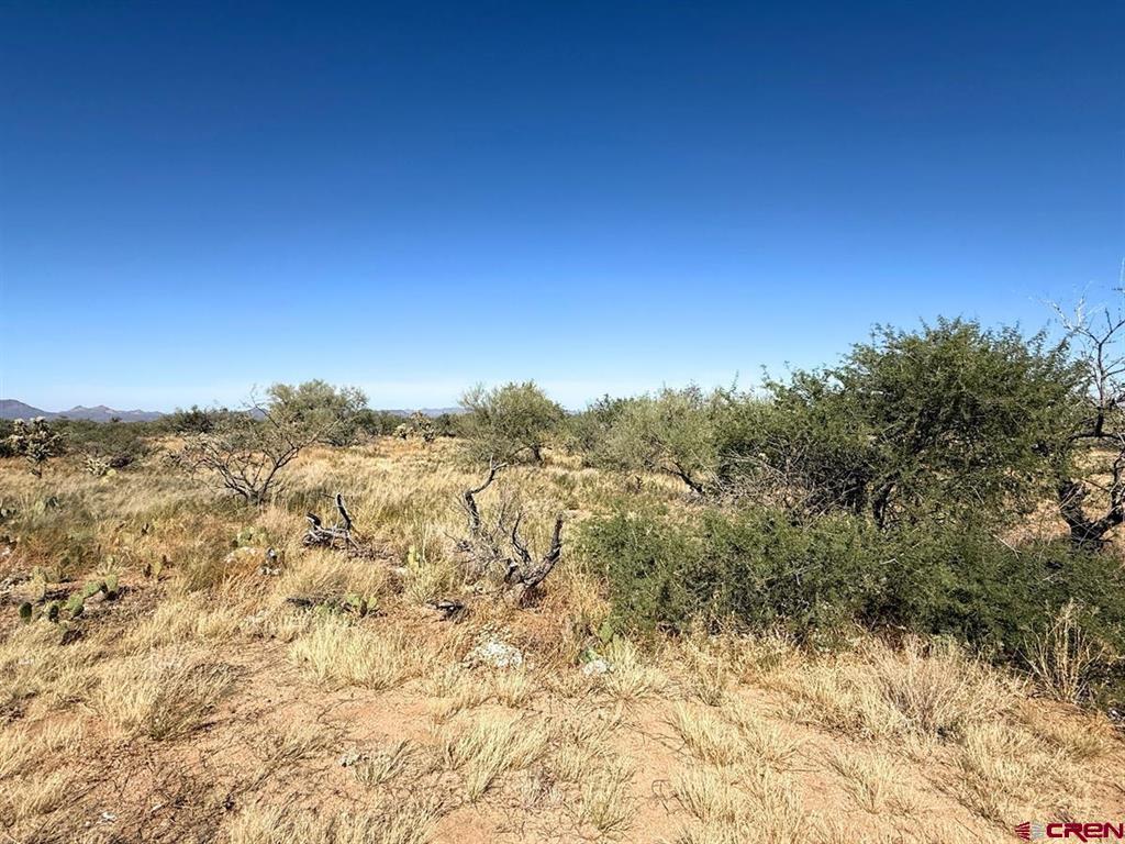 15749 Highway 285 Property Photo 5