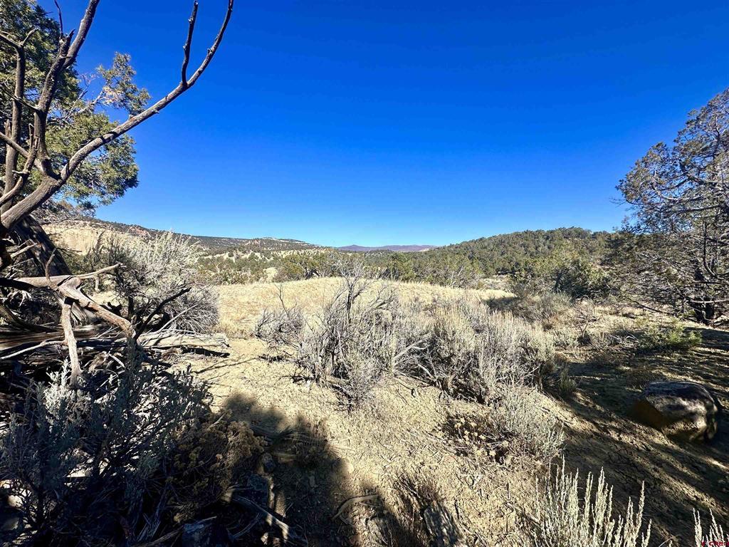 Tbd Cactus Park Road Property Photo 1