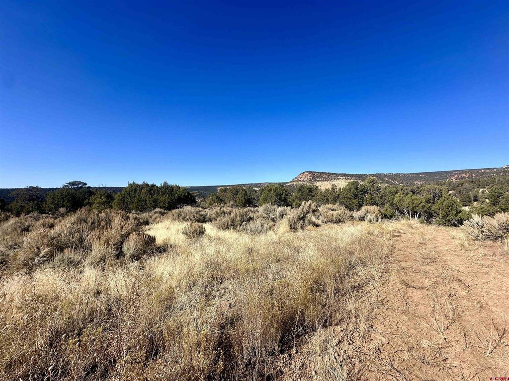 Tbd Cactus Park Road Property Photo 8