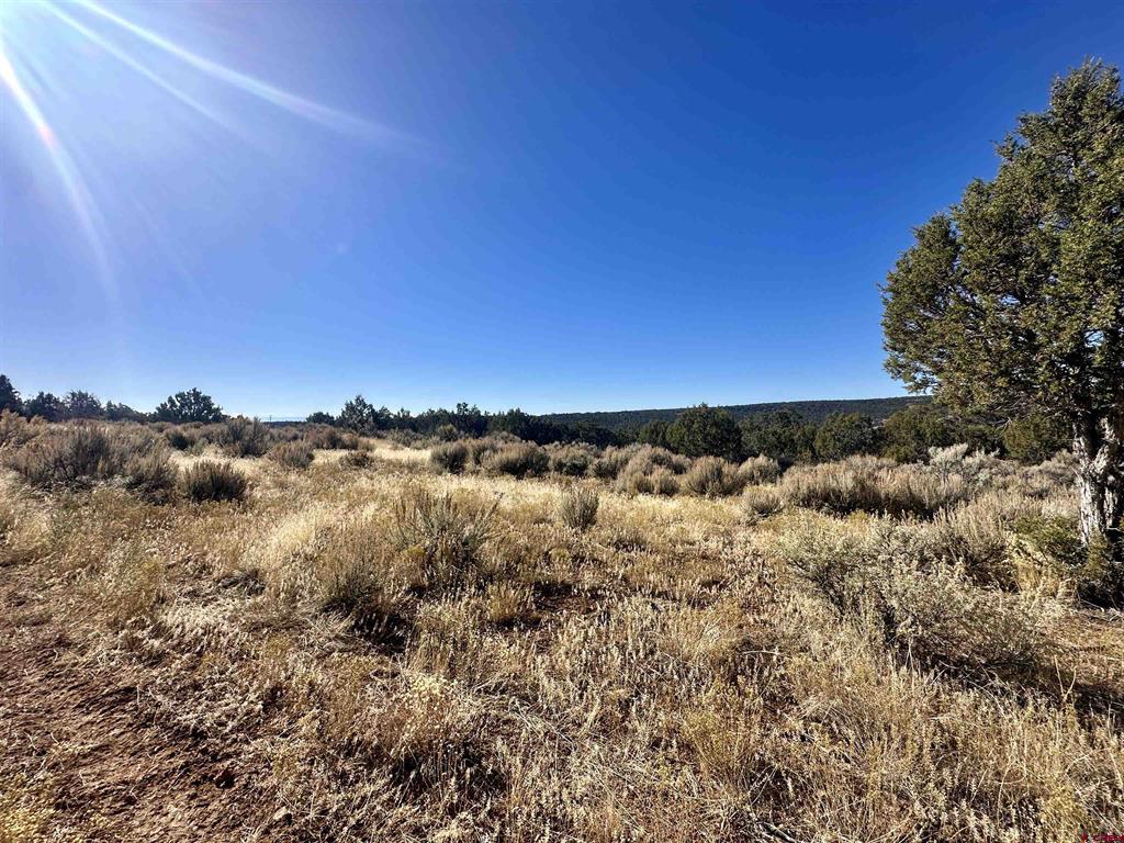 Tbd Cactus Park Road Property Photo 9