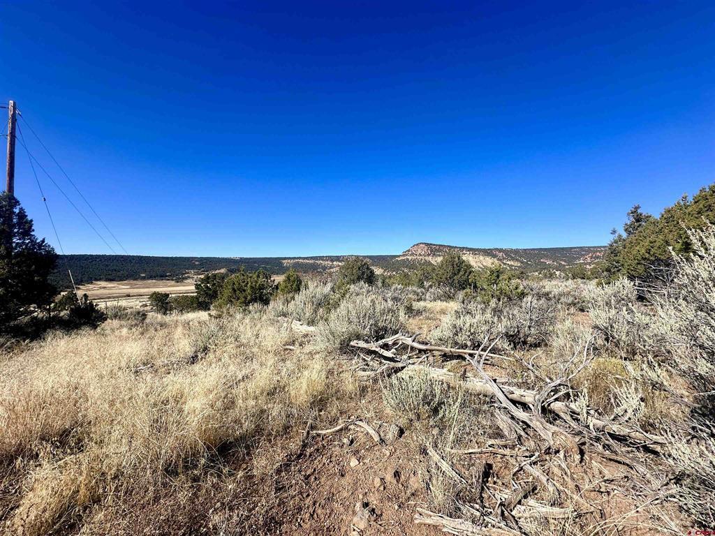 Tbd Cactus Park Road Property Photo 10