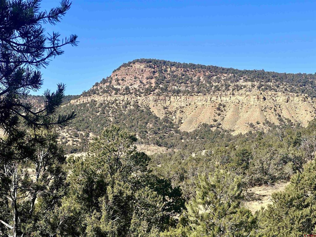 Tbd Cactus Park Road Property Photo 11