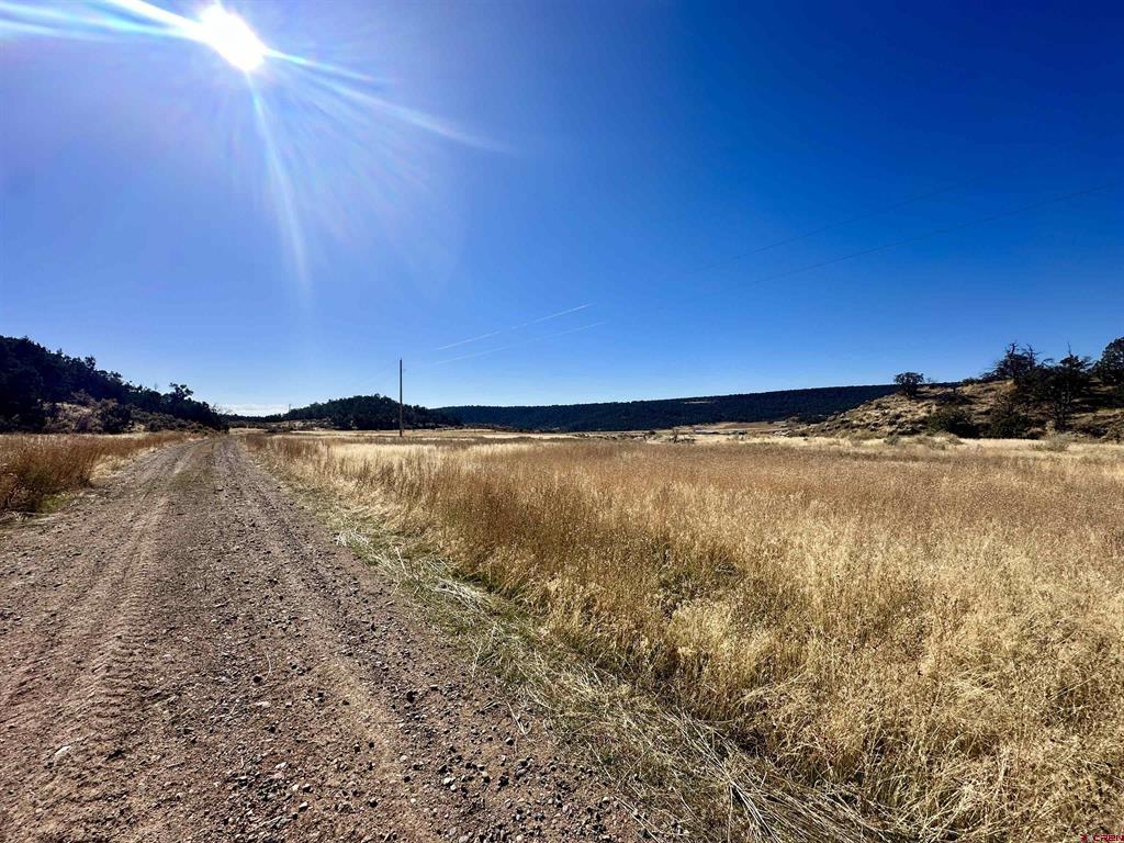 Tbd Cactus Park Road Property Photo 15