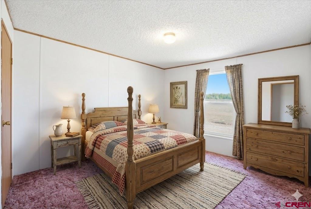 209 County Road 311 Property Photo 16
