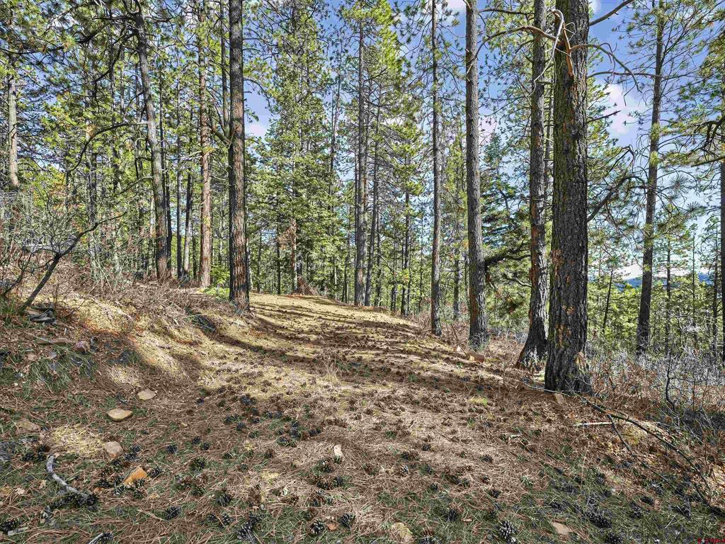 923 Groves Drive Property Photo 19