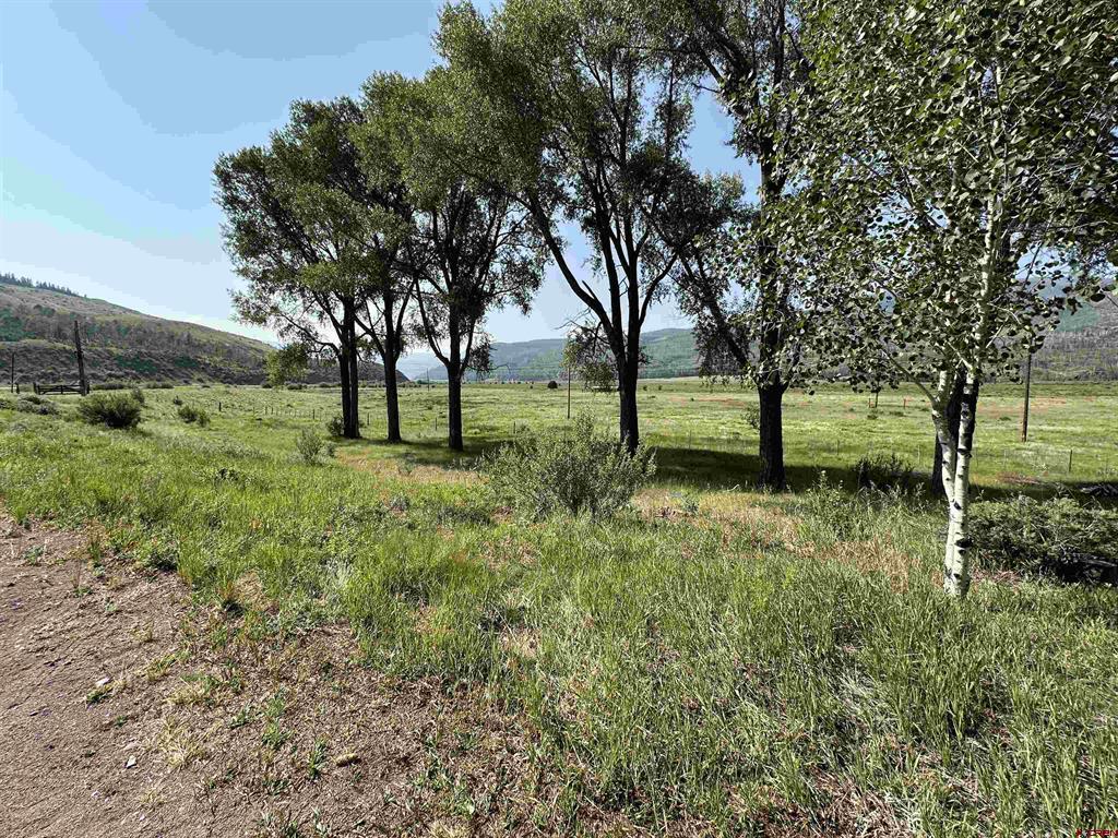 36825 Hwy 149 Property Photo 28