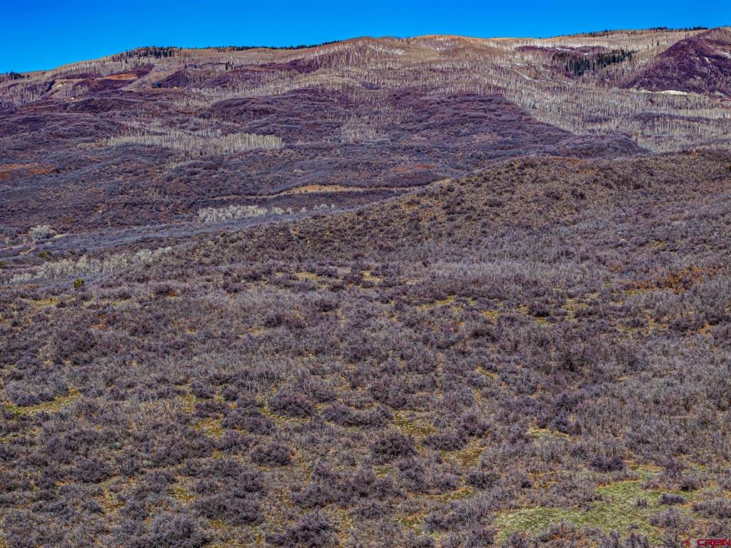 Lot 23 Highway 65 Property Photo 4