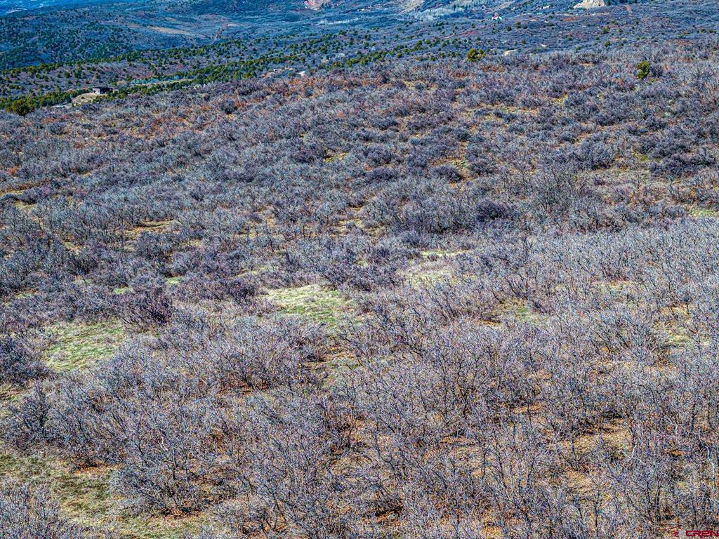 Lot 23 Highway 65 Property Photo 7