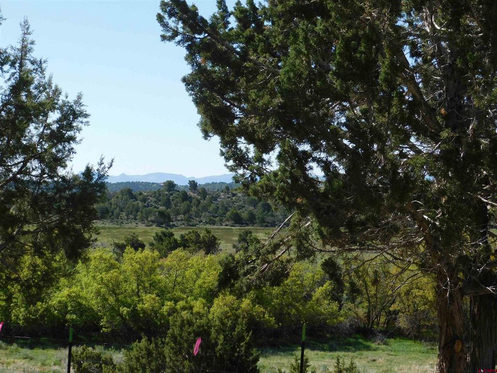 23300 Road X Property Photo 20