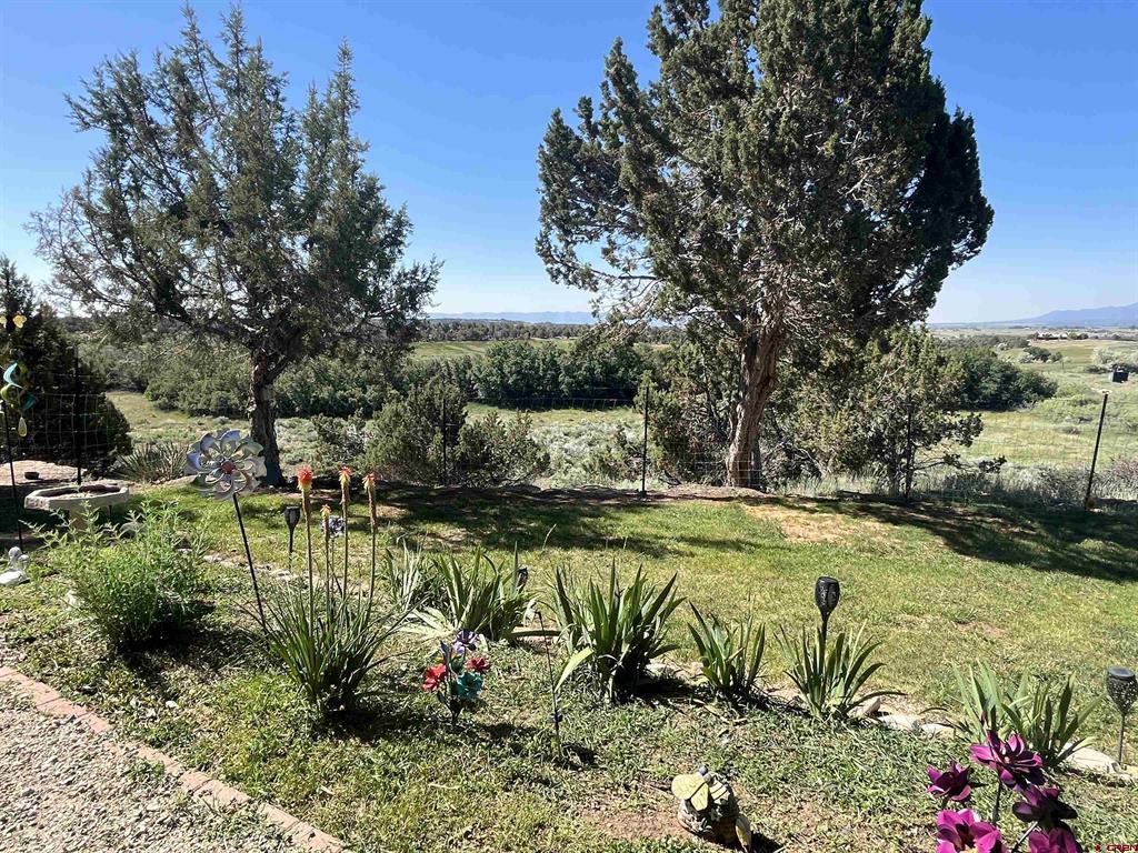 23300 Road X Property Photo 37