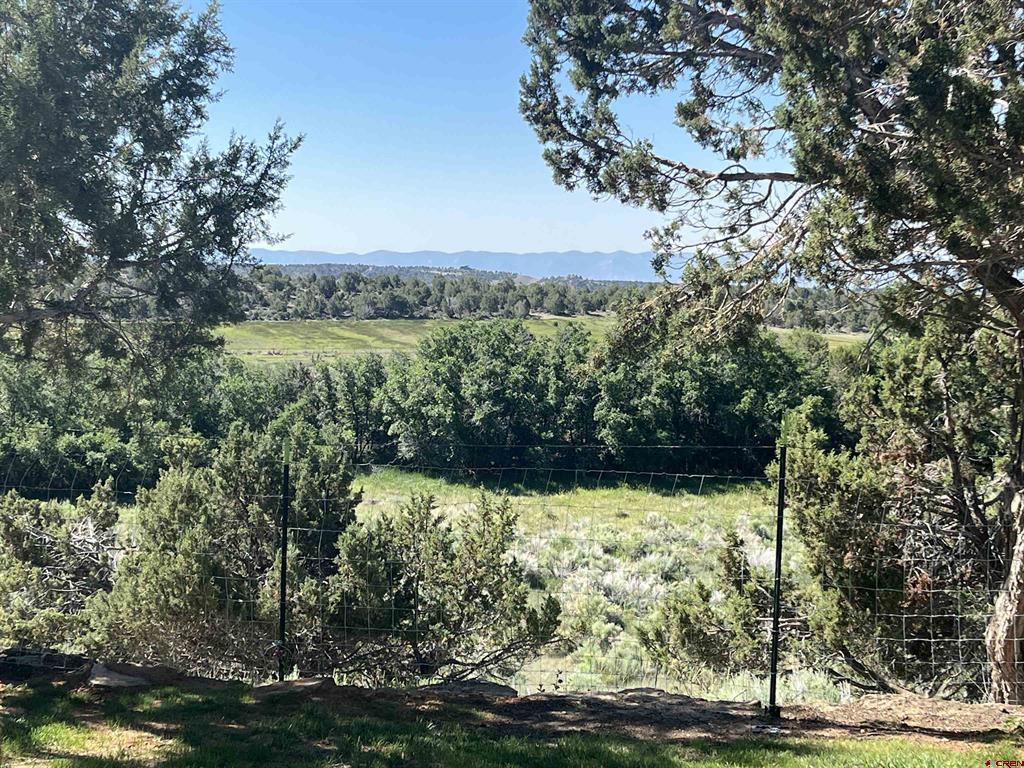 23300 Road X Property Photo 39