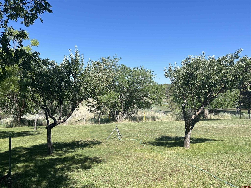 23300 Road X Property Photo 42