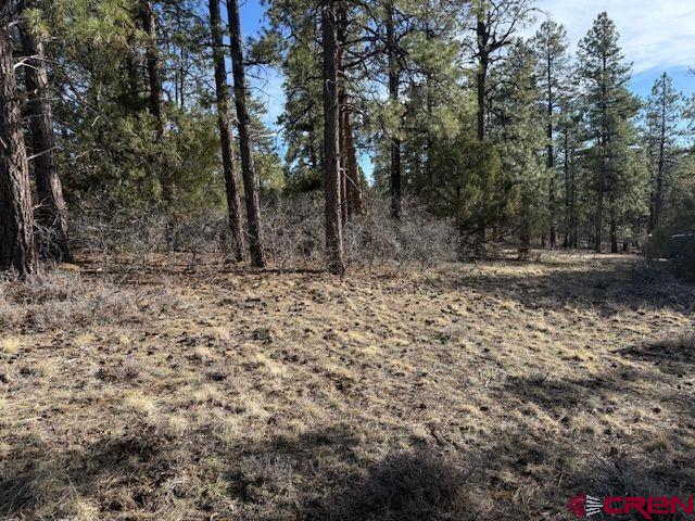 495 Justin's Drive Property Photo 3
