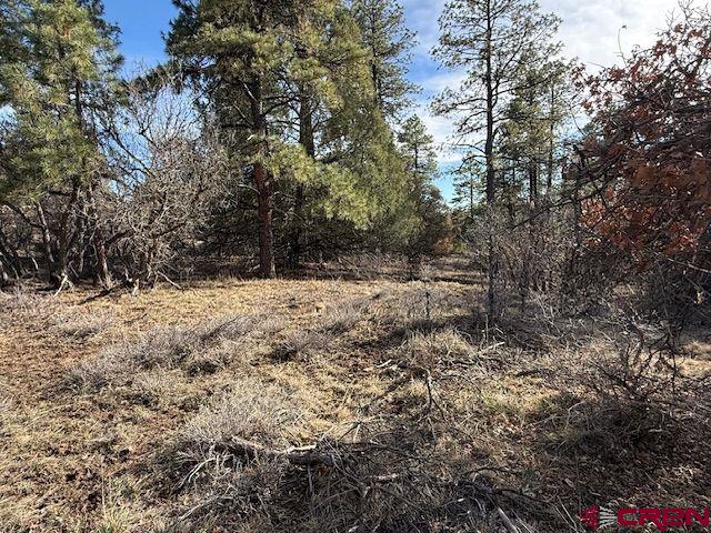 495 Justin's Drive Property Photo 11