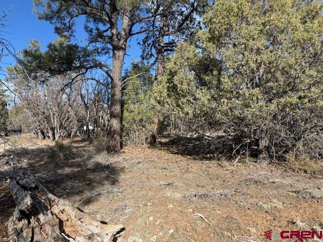 495 Justin's Drive Property Photo 14