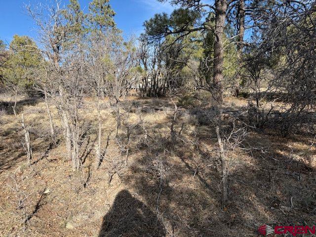 495 Justin's Drive Property Photo 15