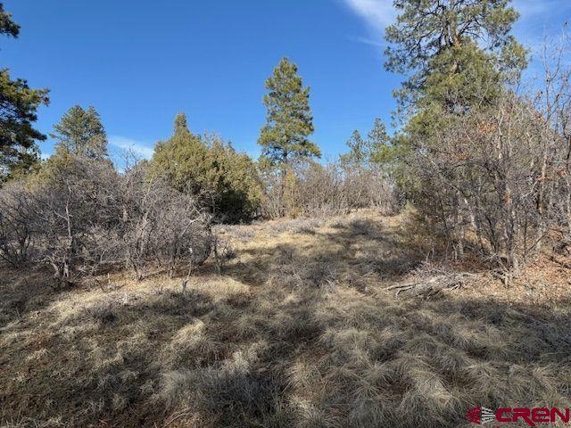 495 Justin's Drive Property Photo 17