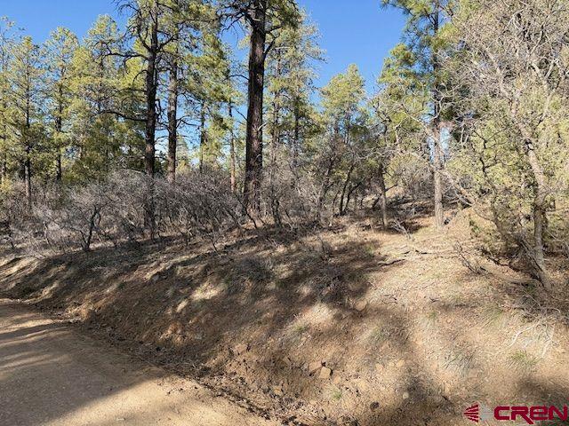 495 Justin's Drive Property Photo 22