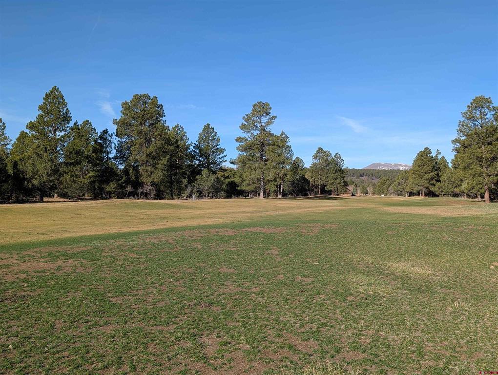 1635 Marmot Drive Property Photo 7
