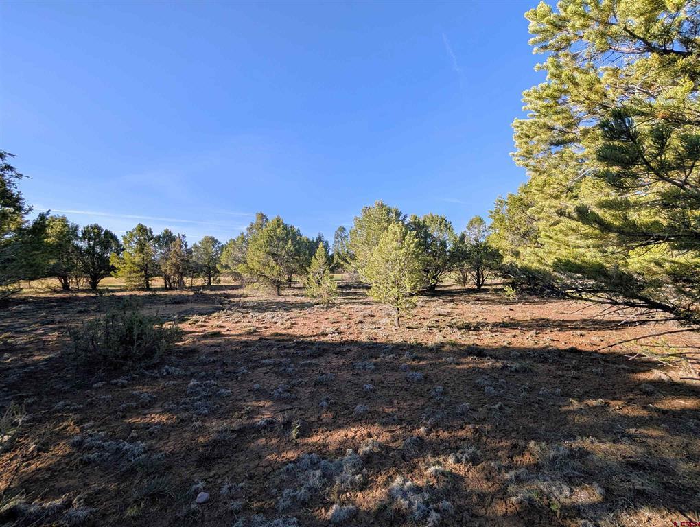 1635 Marmot Drive Property Photo 13