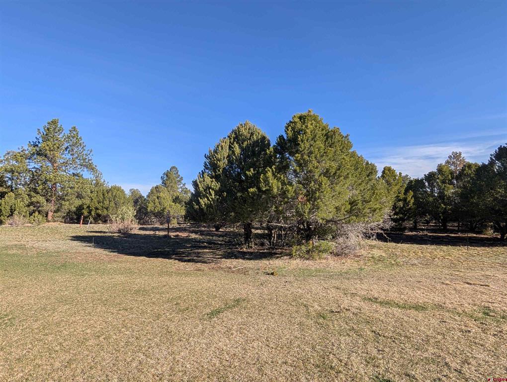 1635 Marmot Drive Property Photo 14