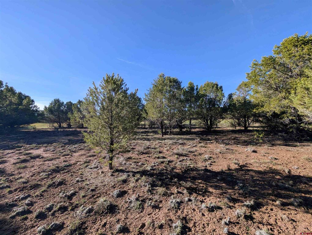 1635 Marmot Drive Property Photo 18