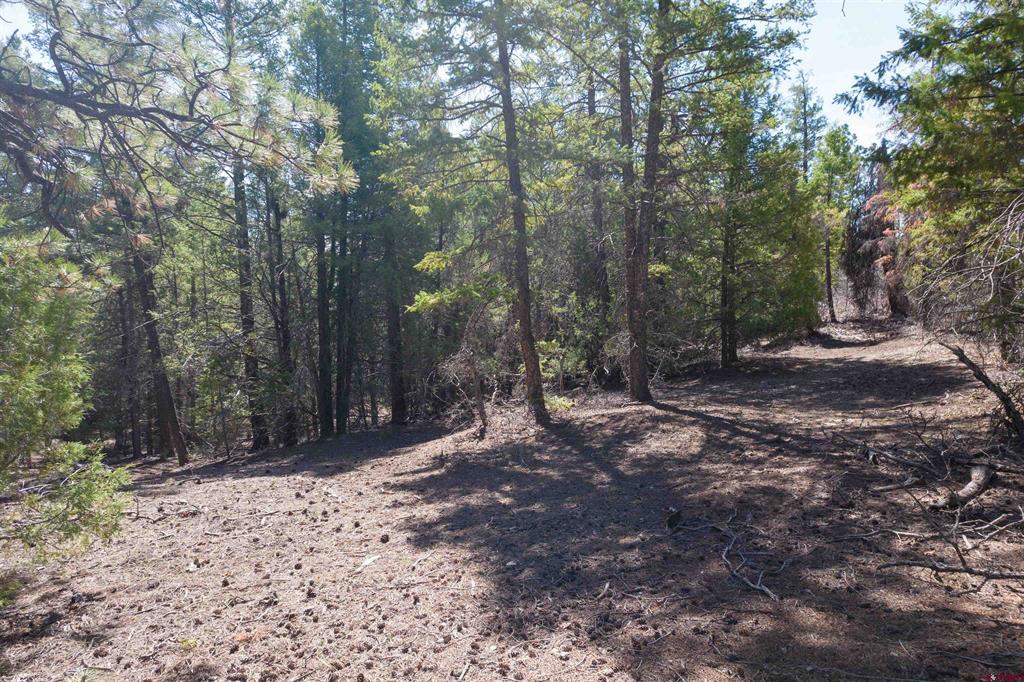 352 Blanca Place Property Photo 3