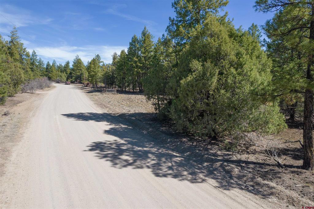 352 Blanca Place Property Photo 4