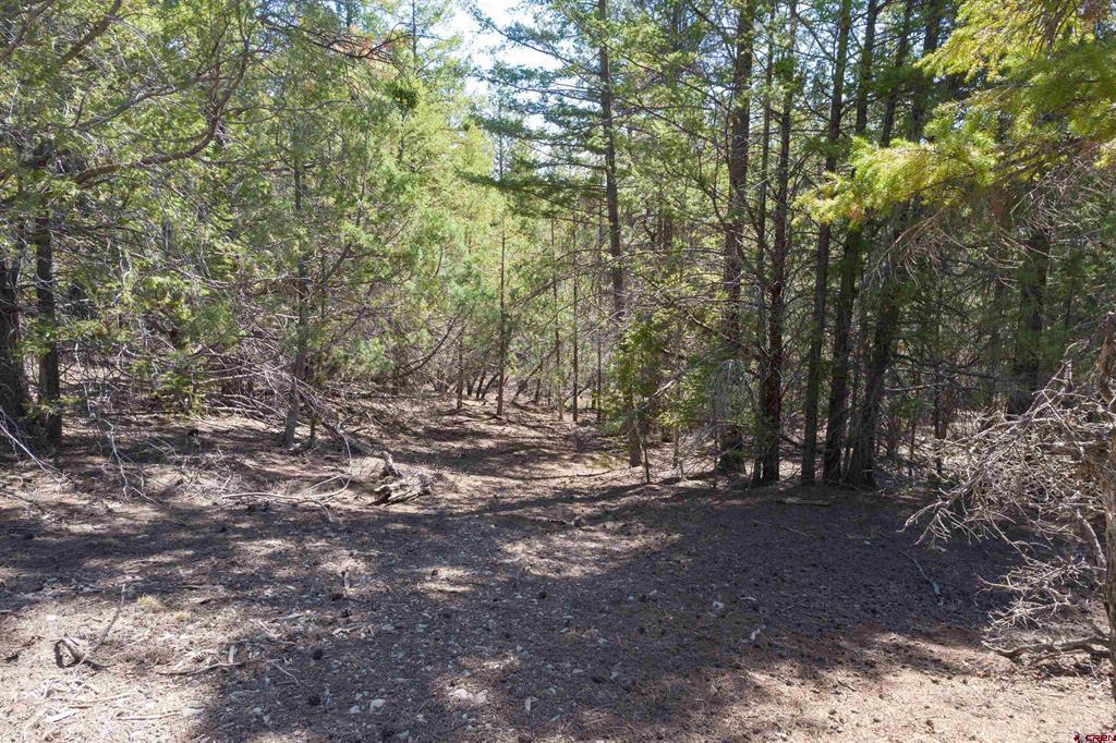 352 Blanca Place Property Photo 9