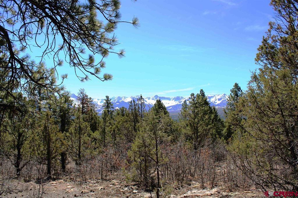 Tbd Old Relay Road Property Photo 11