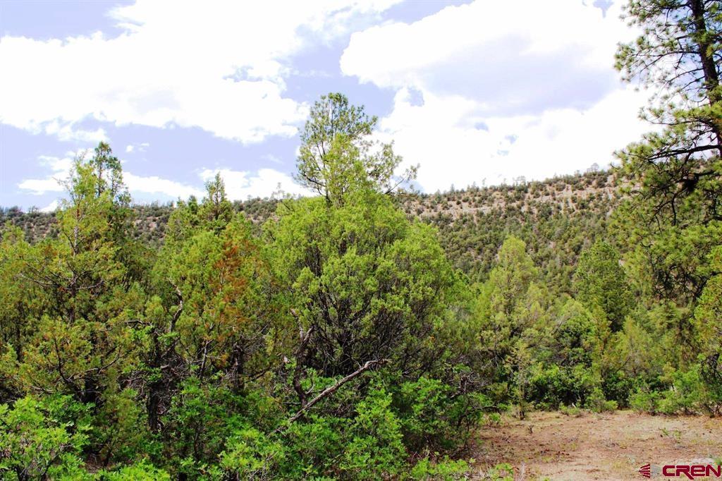 Tbd Old Relay Road Property Photo 14