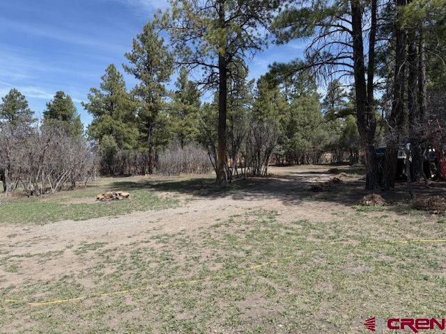 1205 Ute Drive Property Photo 4