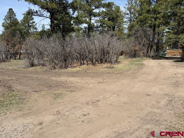 1205 Ute Drive Property Photo 7