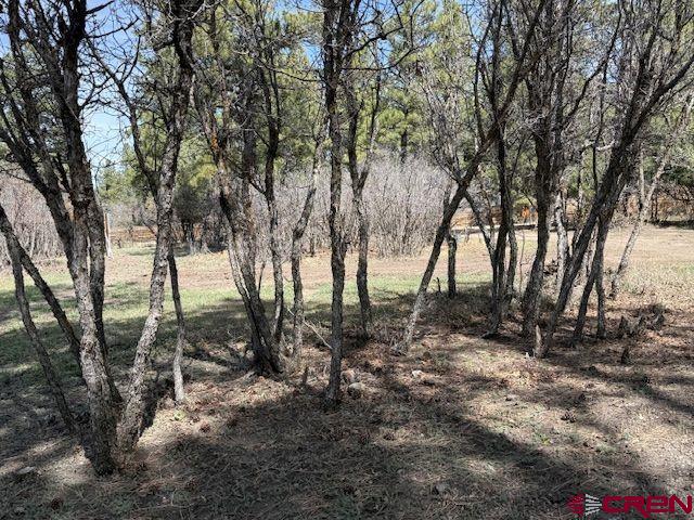 1205 Ute Drive Property Photo 8