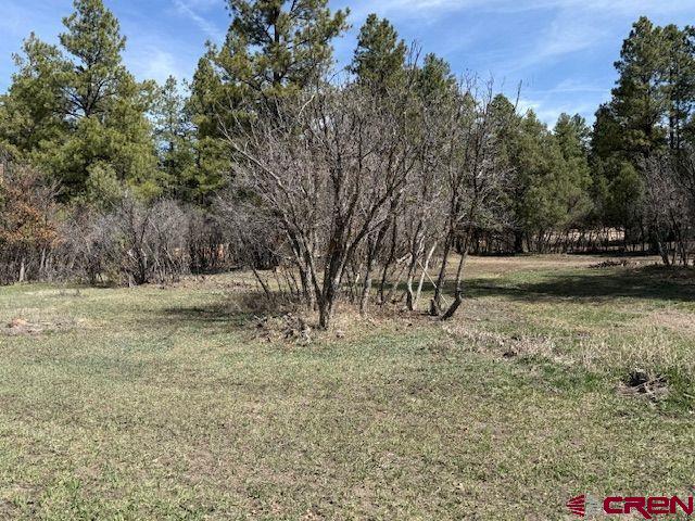 1205 Ute Drive Property Photo 13