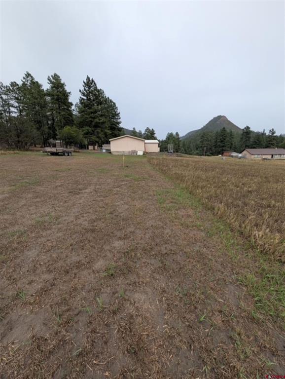 1205 Ute Drive Property Photo 18