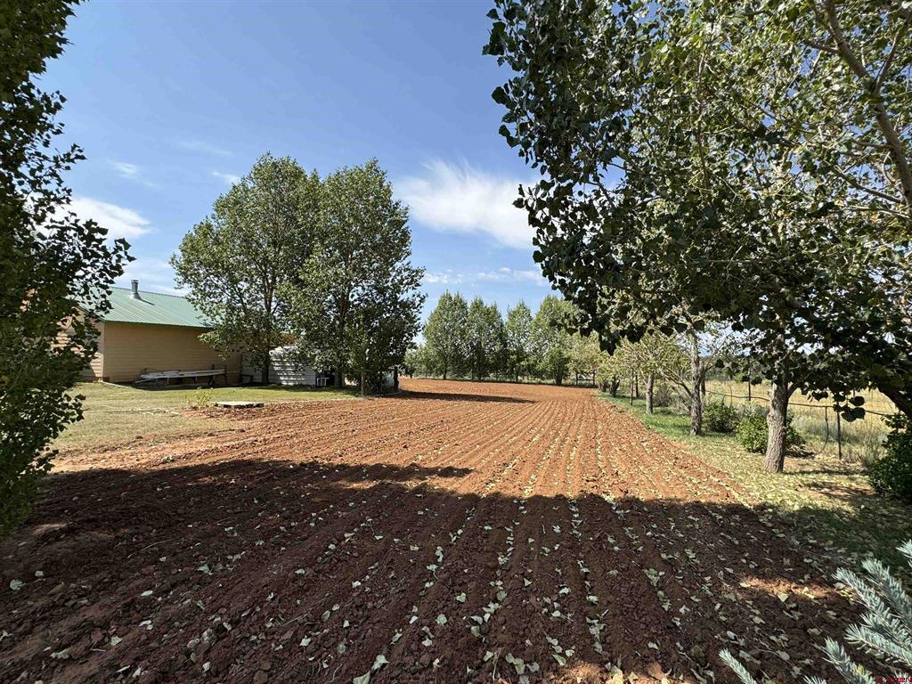 12383 Road M Property Photo 13