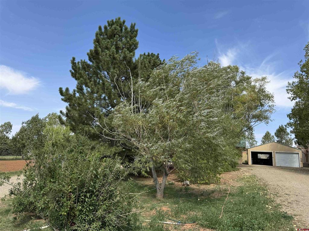 12383 Road M Property Photo 37