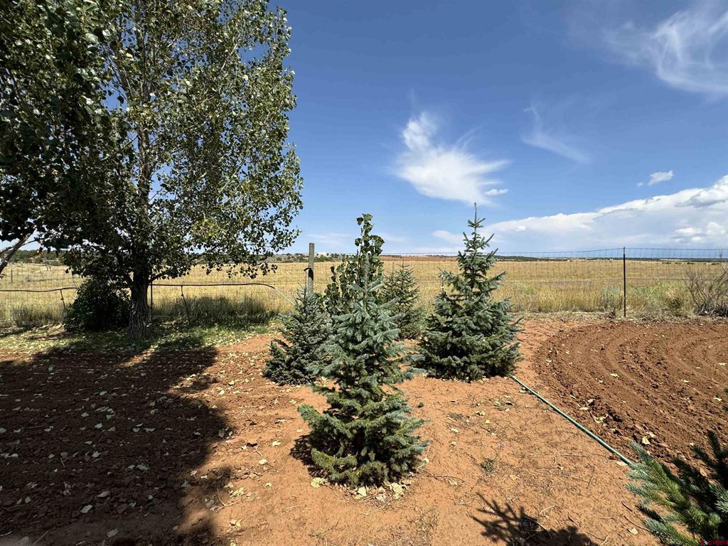 12383 Road M Property Photo 38