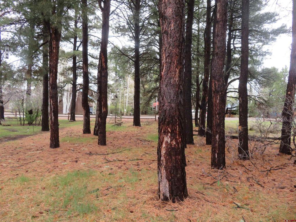 275 Beaver Circle Property Photo 10