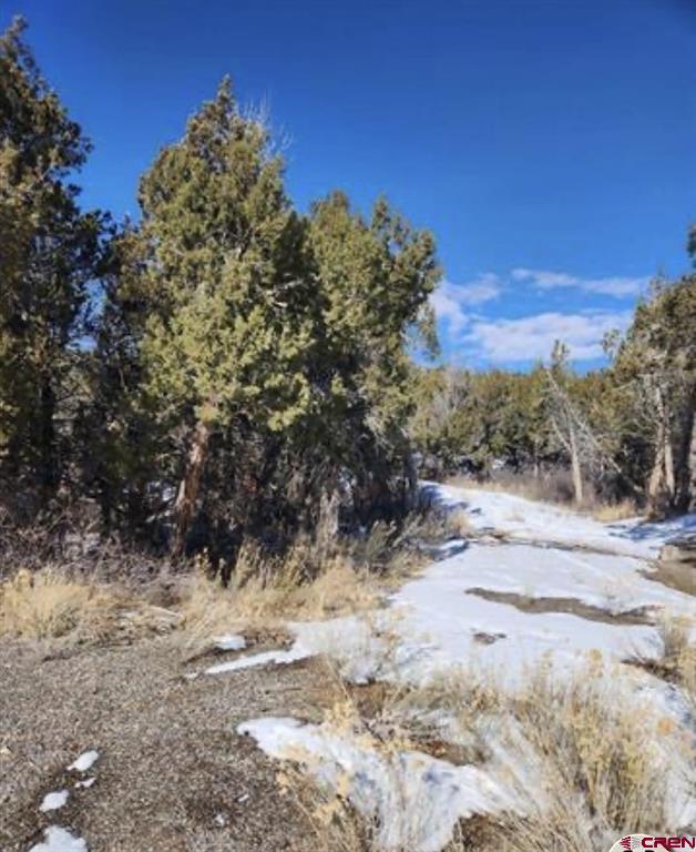 Tbd Windom Lane Property Photo 3