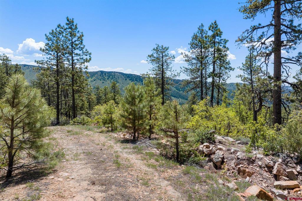 2511 Taylor Ranch Road Property Photo 2