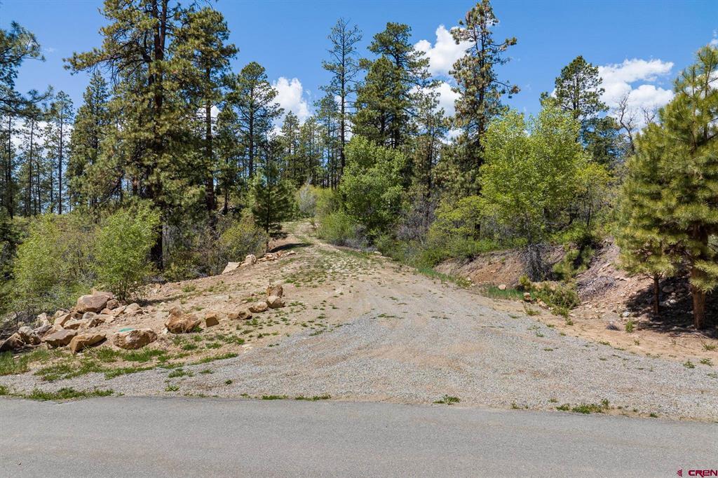 2511 Taylor Ranch Road Property Photo 6