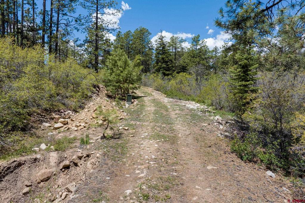 2511 Taylor Ranch Road Property Photo 8